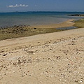 IMG_2292.JPG