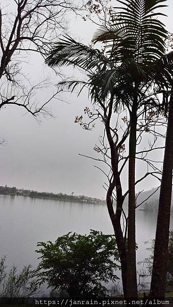 E5D12948-58D7-40D8-8B55-48E48A91DD5B.jpeg E5D12948-58D7-40D8-8B55-48E48A91DD5B.jpeg