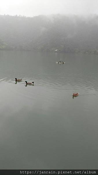 8738A516-AF2A-4E24-81BF-488D71F8D9B4.jpeg 8738A516-AF2A-4E24-81BF-488D71F8D9B4.jpeg