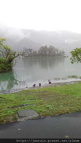 13CE6D3A-18CC-4F5A-9B92-C41538236AED.jpeg 13CE6D3A-18CC-4F5A-9B92-C41538236AED.jpeg