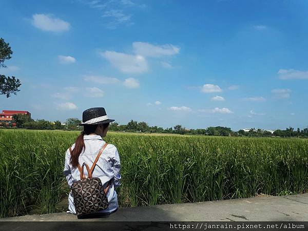 CD315573-3D72-4514-A8F0-74AAA70402EF.jpeg CD315573-3D72-4514-A8F0-74AAA70402EF.jpeg