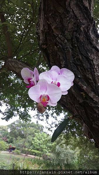 14899C82-13ED-4946-BF18-FD790A22CD60.jpeg 14899C82-13ED-4946-BF18-FD790A22CD60.jpeg