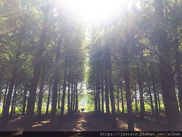 465D96DA-CC15-4B19-965C-5783FF4CC7CD.jpeg 465D96DA-CC15-4B19-965C-5783FF4CC7CD.jpeg