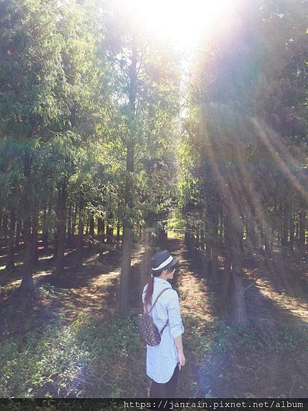 FF15A7EF-00D2-4E9B-8E3F-7F70B210C596.jpeg FF15A7EF-00D2-4E9B-8E3F-7F70B210C596.jpeg