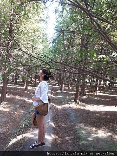 78A06D94-93C9-4654-BFAD-DCC61CF85483.jpeg 78A06D94-93C9-4654-BFAD-DCC61CF85483.jpeg