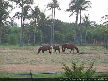 5FD3897F-729F-478E-9E28-6EF75AD7DDEA.jpeg 5FD3897F-729F-478E-9E28-6EF75AD7DDEA.jpeg