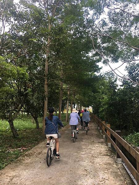 5CC208D4-4479-4B57-B3F5-1BE884E81763.jpeg 5CC208D4-4479-4B57-B3F5-1BE884E81763.jpeg