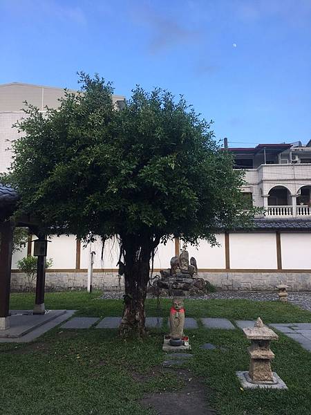 8A00B9D5-D2BE-466D-89E0-EDEFB5086071.jpeg 8A00B9D5-D2BE-466D-89E0-EDEFB5086071.jpeg