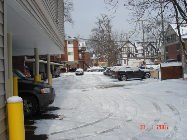 cars covered by snow