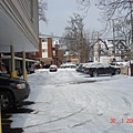 cars covered by snow