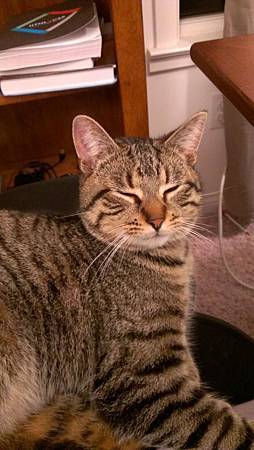 IMAG0252 IMAG0252