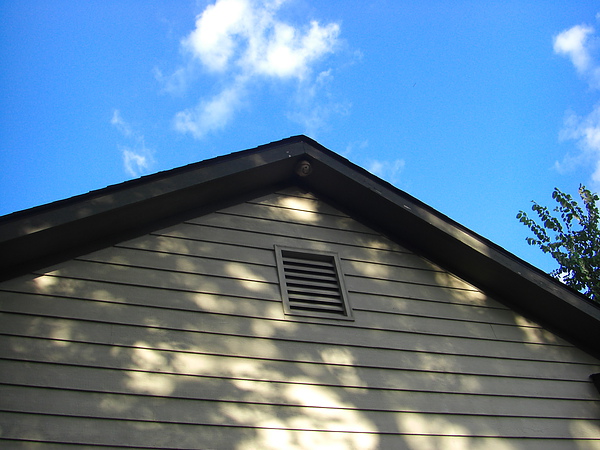 CIMG0923.JPG CIMG0923.JPG