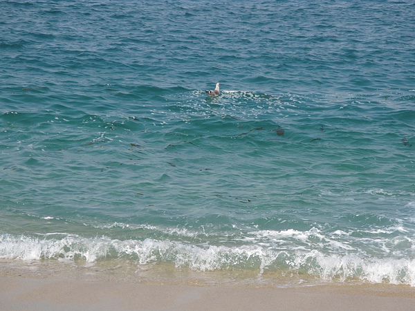 IMG_4297.jpg IMG_4297.jpg