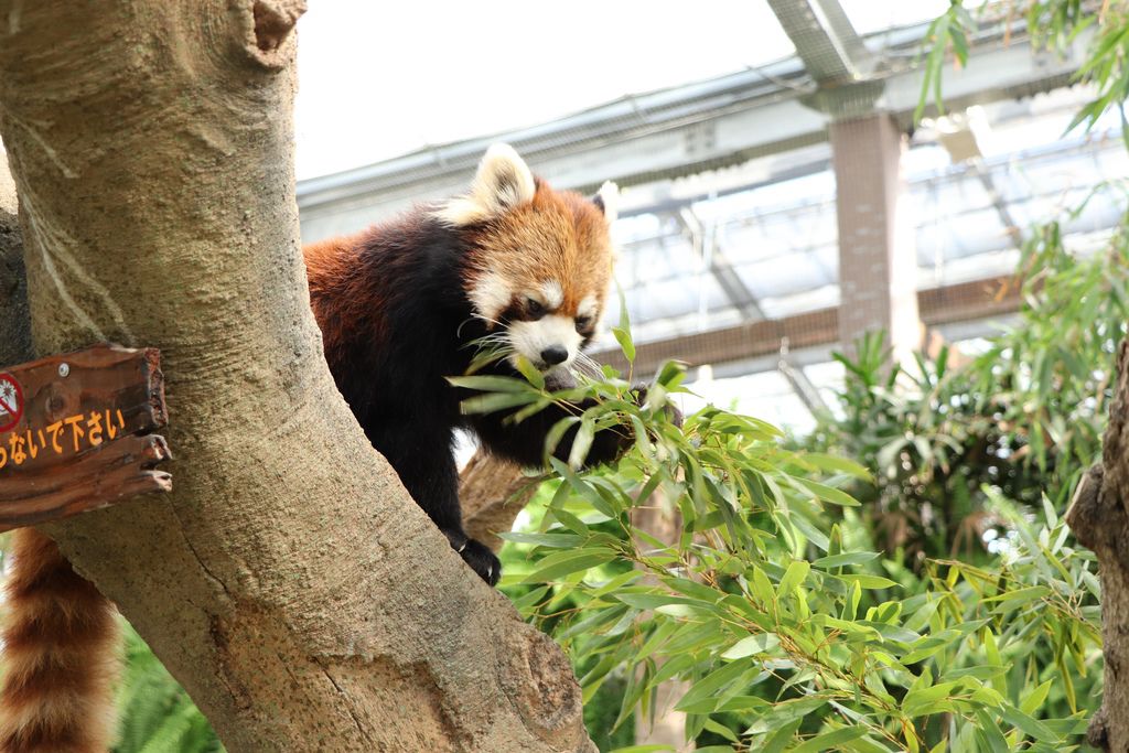 IMG_1067.JPG IMG_1067.JPG