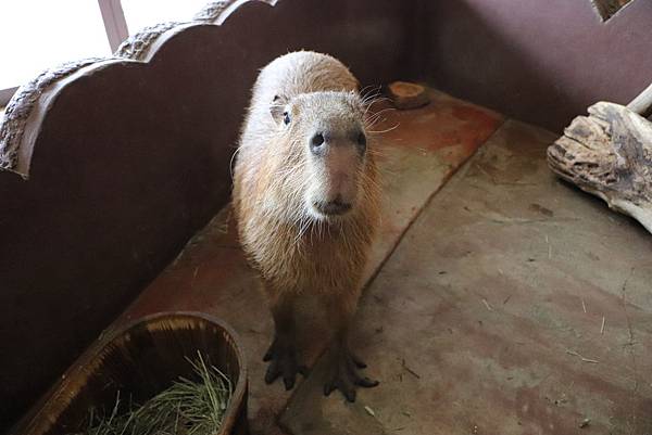 IMG_5743.JPG IMG_5743.JPG