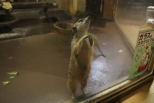 IMG_5765.JPG IMG_5765.JPG