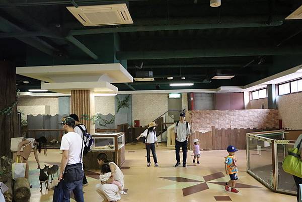 IMG_5775.JPG IMG_5775.JPG