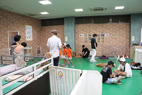 IMG_5830.JPG IMG_5830.JPG