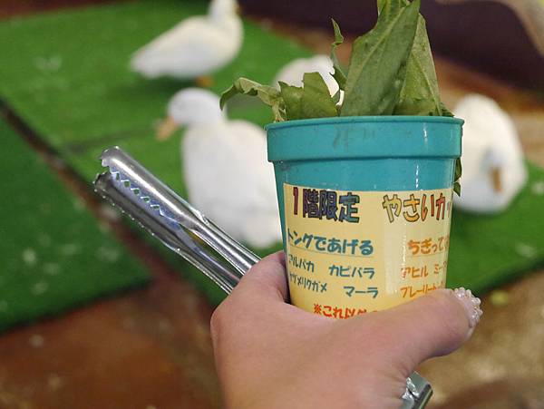 P1090557.JPG P1090557.JPG