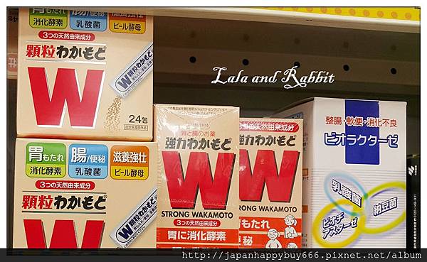 若元錠腸胃錠.jpg 若元錠腸胃錠.jpg