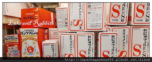 欣表飛鳴.jpg 欣表飛鳴.jpg