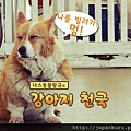 2012. 7 Nasu Animal Kingdom. rental dog.jpg