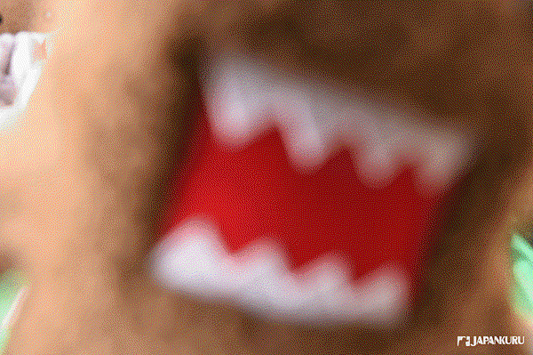 6.gif