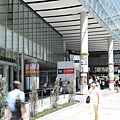 t11.jpg