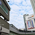 06.jpg