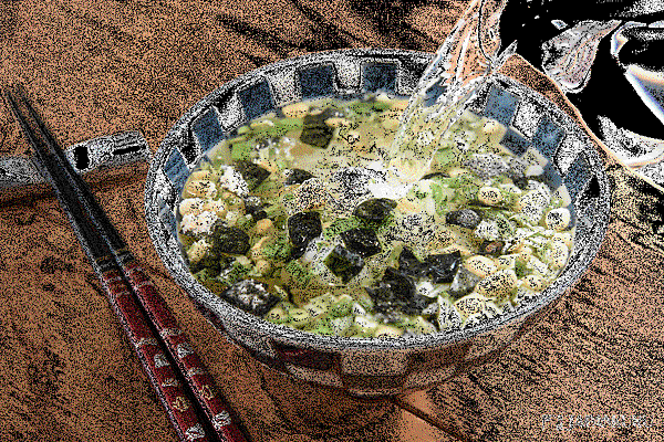 n02.gif