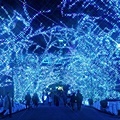 YomiuriLand_Illumination_CC06_OG.jpg