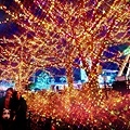 YomiuriLand_Illumination_CC08_OG.jpg