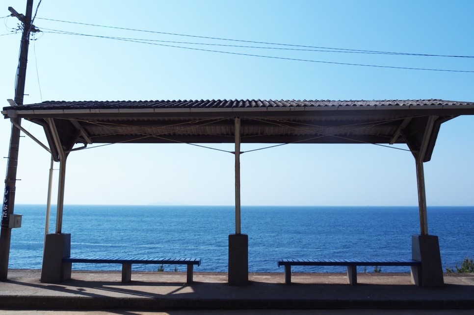 S__3063821.jpg S__3063821.jpg