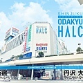 ODAKYU HALK.jpg