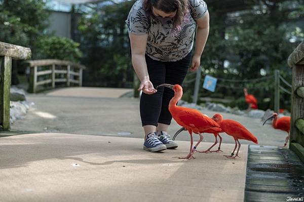 山陰中部5市2021美食景點精選