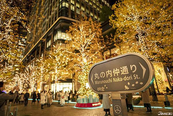 2024-2025东京大井竞马场的冬季点灯TOKYO MEG