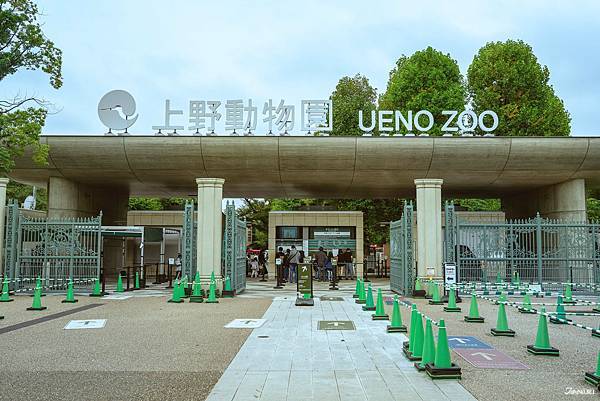 【東京景點】上野動物園必看必吃精選 不用爬山看雷鳥好輕鬆 【東京景點】上野動物園必看必吃精選 不用爬山看雷鳥好輕鬆