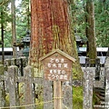 世界文化遺產‧日光東照宮