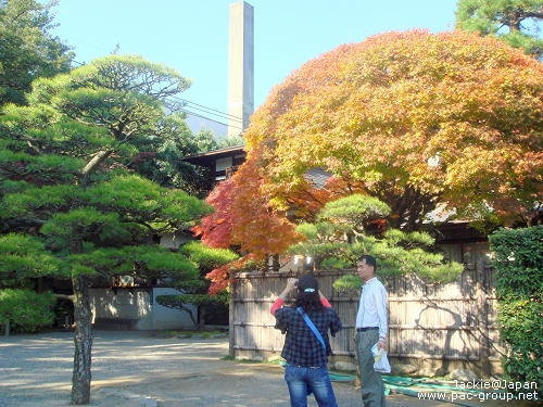 11 水前寺+成趣園 (2).JPG