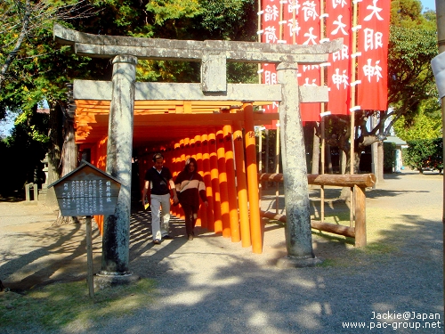 11 水前寺+成趣園 (11).JPG