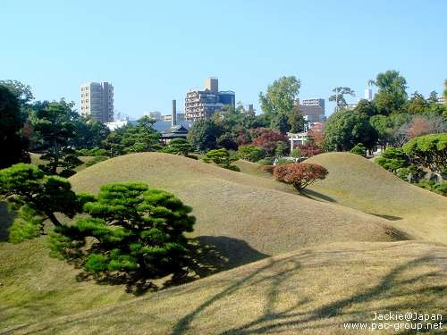 11 水前寺+成趣園 (16).JPG