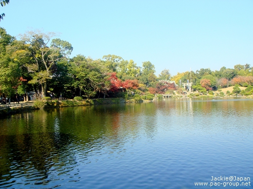 11 水前寺+成趣園 (18).JPG