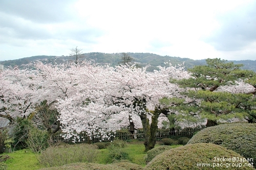 日本三大名園 兼六園