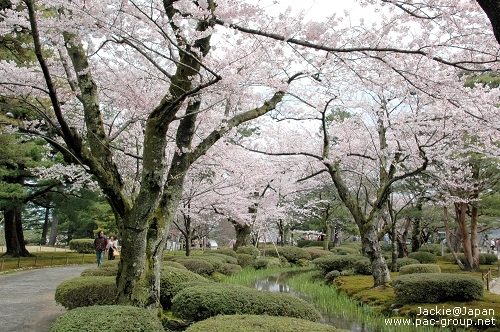 日本三大名園 兼六園