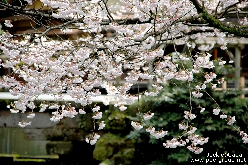 日本三大名園 兼六園