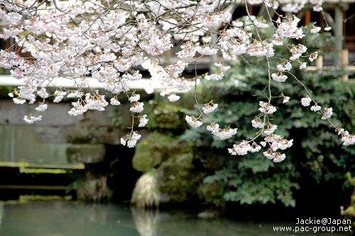 日本三大名園 兼六園