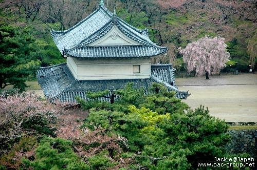 名古屋城