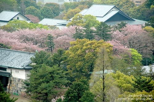 名古屋城