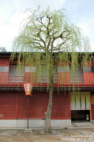 金澤 東茶屋街 懷華樓