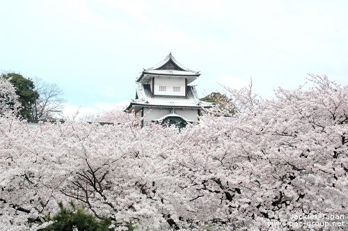 金澤城跡